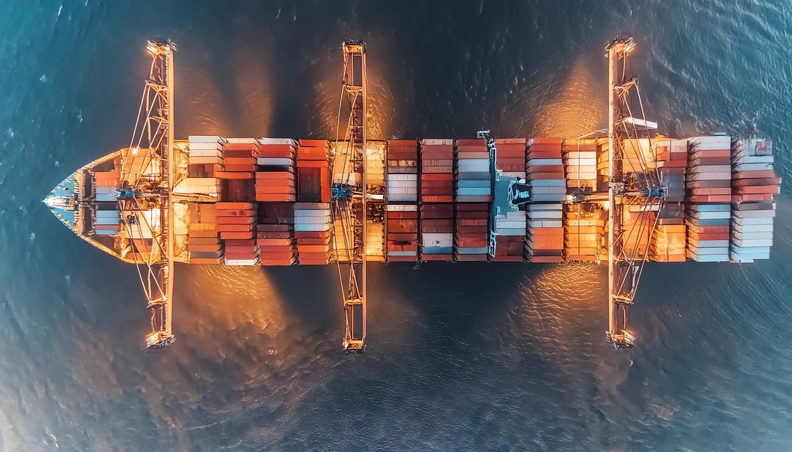 Firefly transporte marítimo, contenedores, importación 30289
